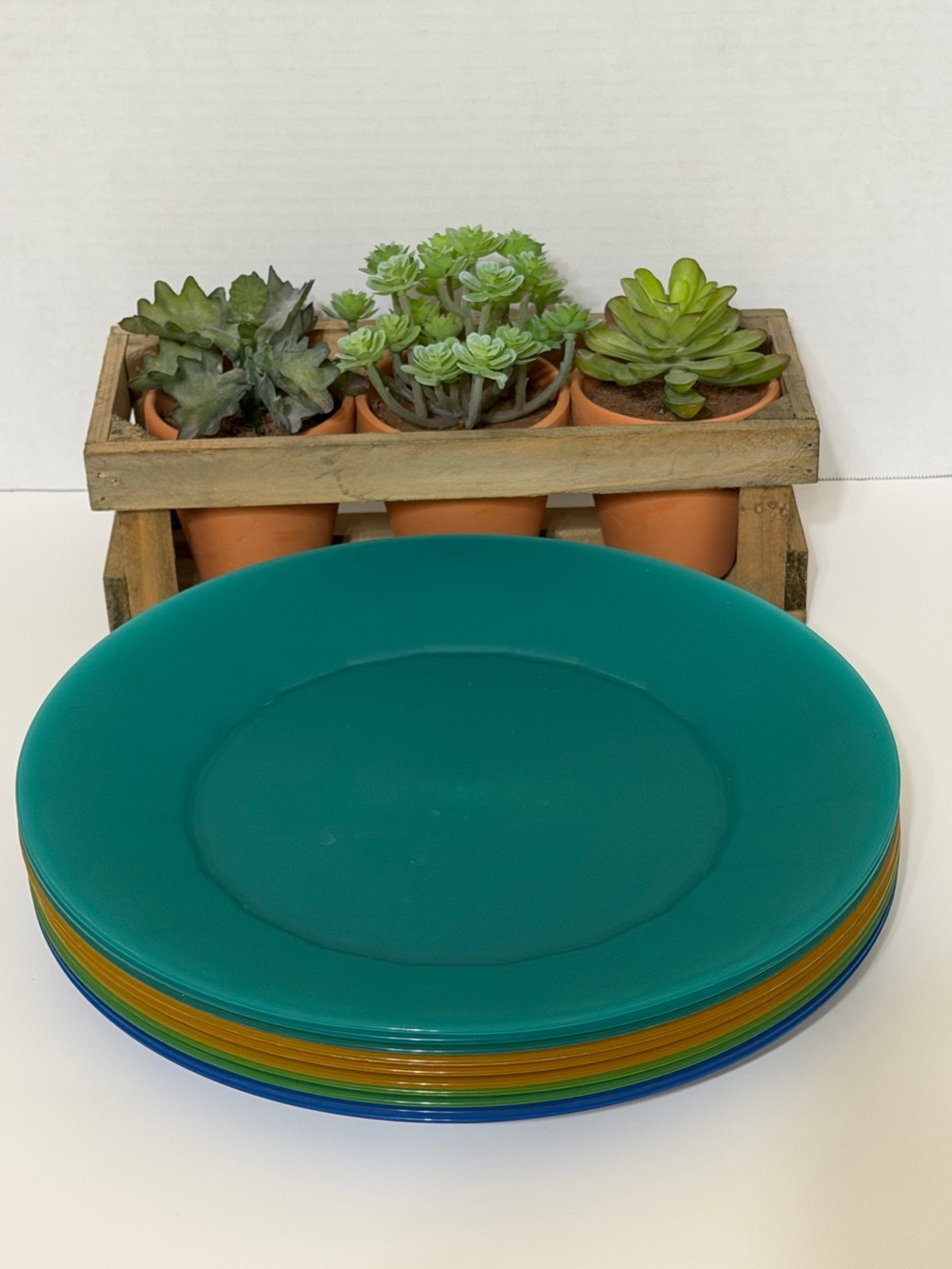 Set/10 Molded Plastic Matte Finish Outdoor Reusable Dinnerware 10” Plates